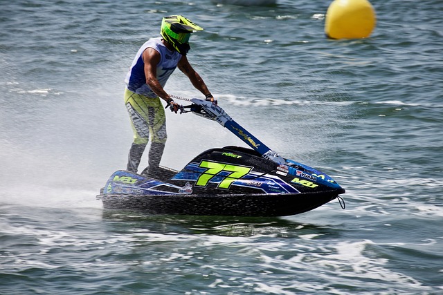 了新的活力 了新的活力